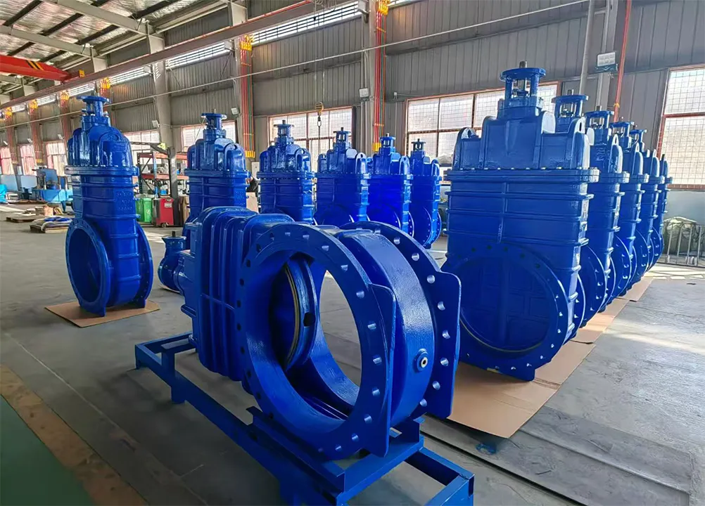 Valve Maintenance and Replacement Project for Main Irrigation Pipeline at Central Morocco Dam